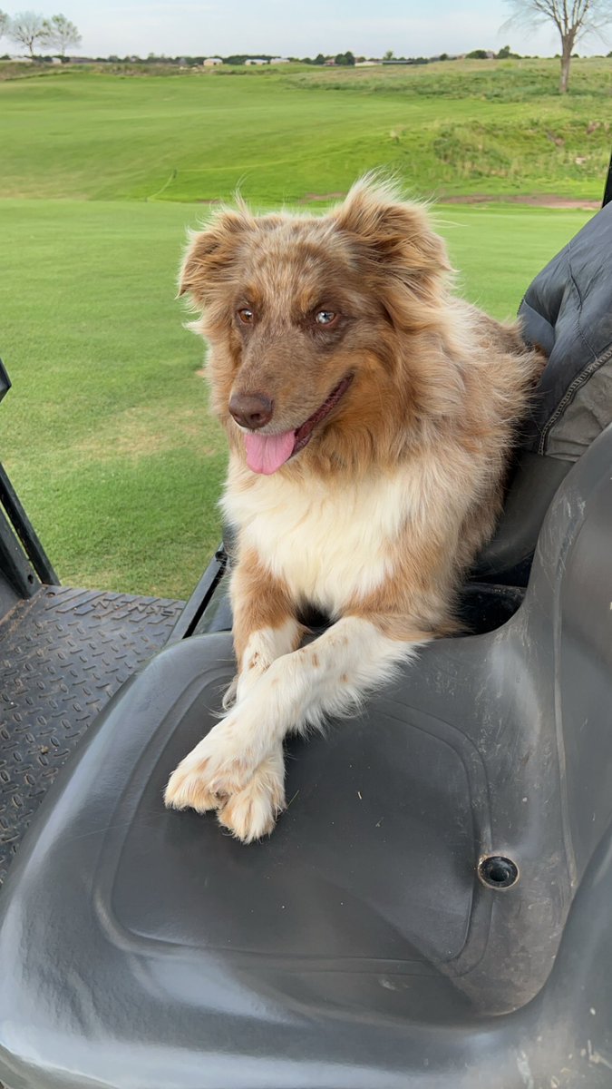 Hadley Reynolds tweet media