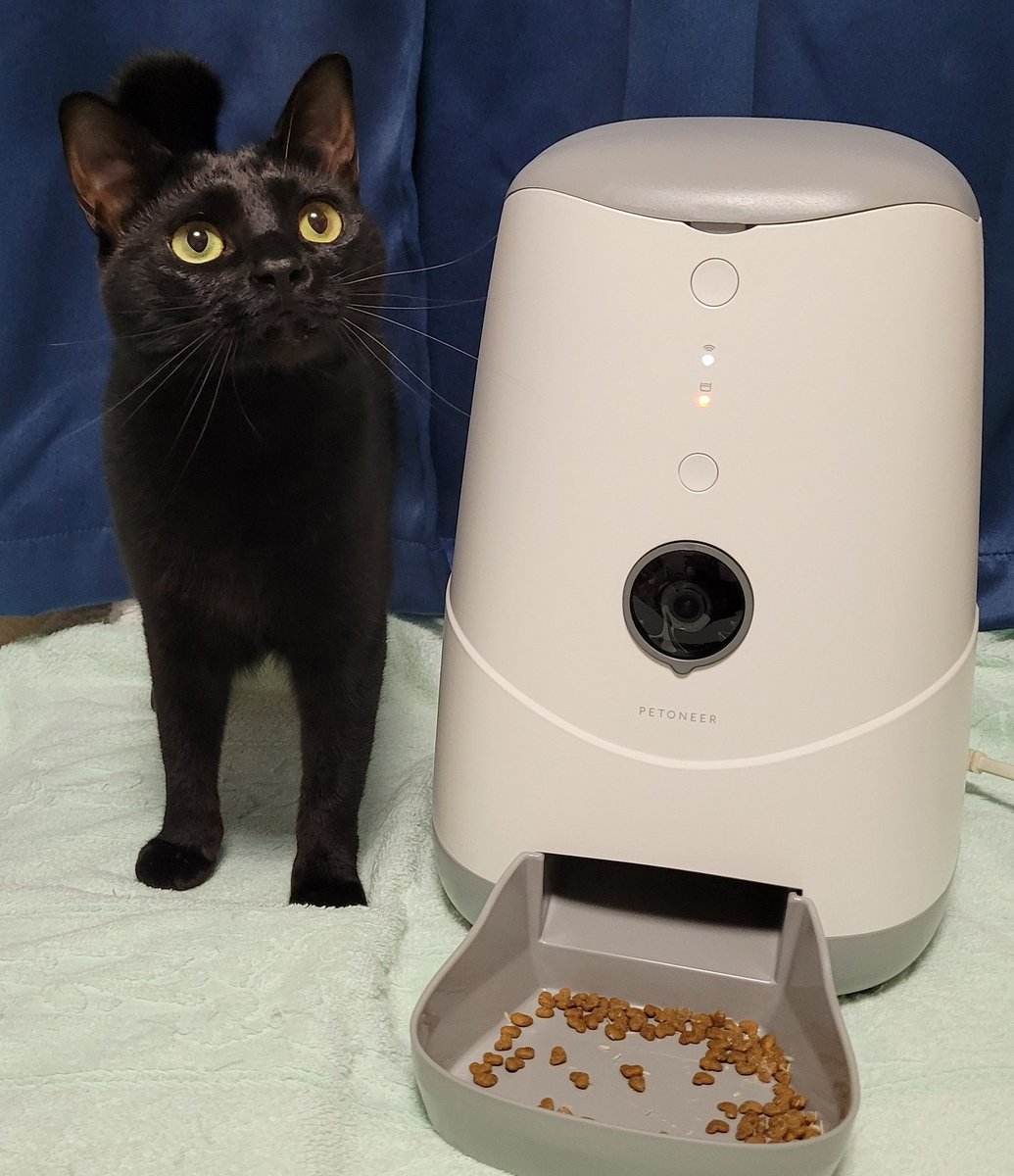 YonghwaRie's tweet photo. カメラ付き自動給餌器
🍀Petoneer Nutri Vision🍀
スマホアプリで簡単管理✨給餌時間は分単位で12回分設定可能🕑給餌完了やフードの残量等お知らせしてくれますにゃ😺💕お手入れも簡単😺❤見守りカメラ搭載で話せる&amp;見ることができて安心🥰#bitcle #ペット用品 #自動給餌器 #るなちゃん😺🎀 https://t.co/Q11JfYmRbK