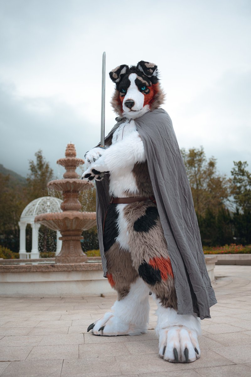 如果說雪豹表達出的是率性的渴望的話，狗勾就是表達出公理的嚮往，兩者在混亂與秩序之間互相拉扯。

所以說呢，到了最後階段，還不去簽罷免的話，狗勾就不會拿劍追著你喔（？？）

Photo:  <a href="/goat83262/">Yangi</a>
Maker: <a href="/nagi_fursuit/">NAGI-Fursuit 🔜 UTFG2025</a>

#FursuitFriday
#大罷免大成功