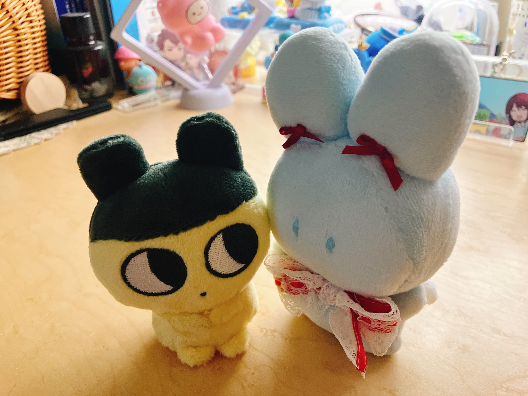 usagi planet ラフォーレ原宿B0.5階出店中🎀 (@PlanetUsagi) / X
