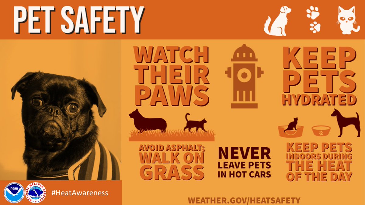 Pets are particularly vulnerable in the heat. 🐇🐕🐈When you’re walking your pet, watch their paws! If it’s too hot for you, it’s too hot for them. Get little booties for their feet, always bring extra water, &amp; NEVER leave them in a hot car unattended. #HeatAwareness