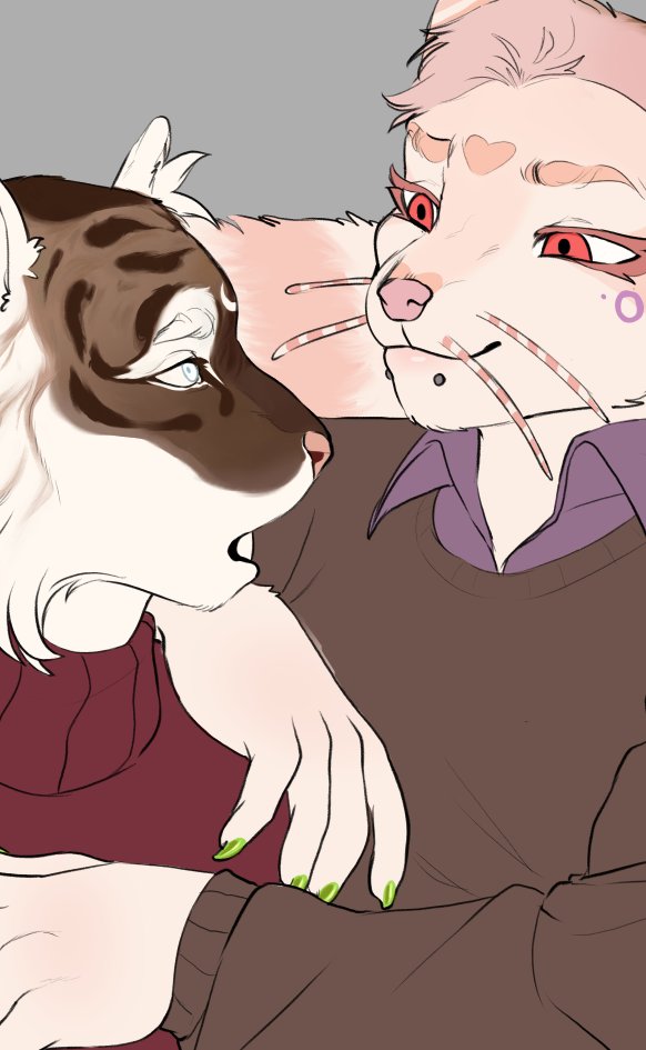 auzysun's tweet photo. felines ahh yes felines https://t.co/QtaHglCeEc