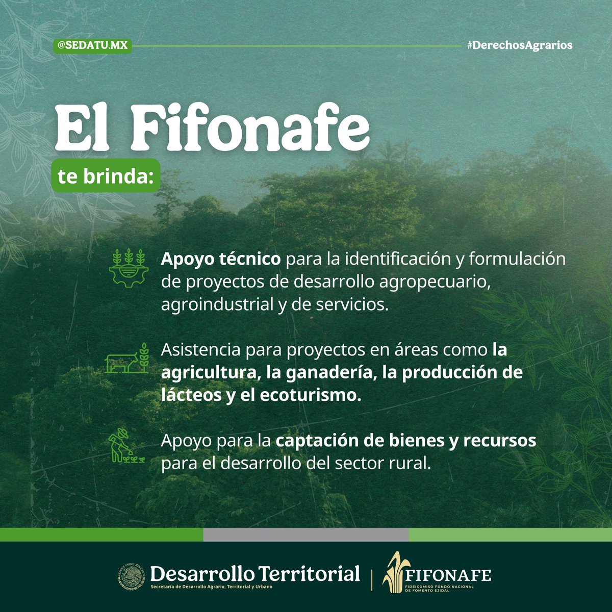 El Fideicomiso Fondo Nacional de Fomento Ejidal (<a href="/FIFONAFE_MX/">FIFONAFE</a>) cuida de los recursos de ejidos y comunidades, garantizando su buen uso y rendimiento, para impulsar su desarrollo y con ello mejorar la calidad de vida de las personas.

Conoce más👇
gob.mx/fifonafe