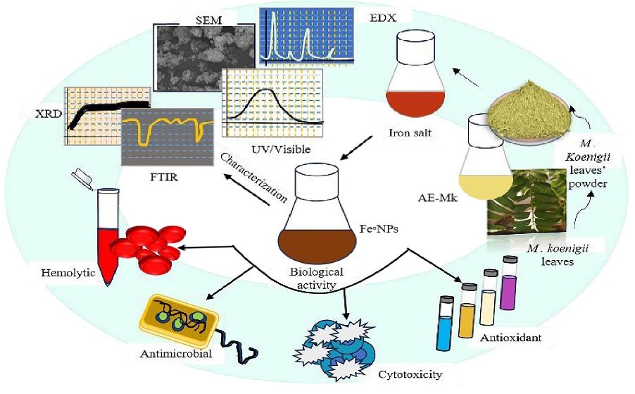 Green-synthesized iron nanoparticles from Murraya koenigii exhibit potent antioxidant, antimicrobial, and anticancer activities with excellent biocompatibility.🥳
#nanoparticles #cancer
<a href="/BiomedNano/">Nano Biomed. Eng.</a> <a href="/SciOpenTUP/">SciOpenTUP</a> 
sciopen.com/article/10.265…
