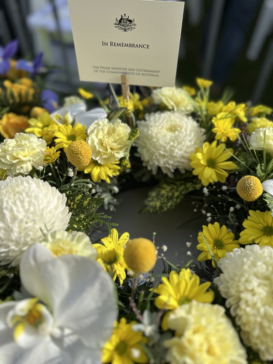 Senator Raff Ciccone tweet media