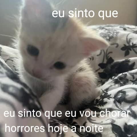 animaisfrases_'s tweet image. 