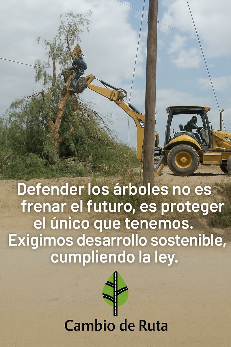 Algunos se preguntan:

“¿Quién gana entre amparos y apelaciones?” pero la verdadera pregunta es:

 ¿Quién pierde cuando se ignoran los derechos ambientales y los principios de legalidad?

Cuando se talan árboles sin permisos, se omite la consulta pública o se construye sin