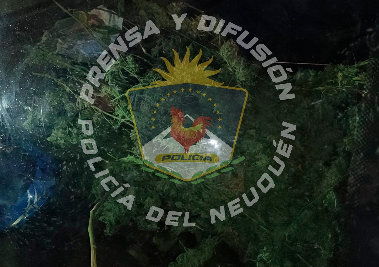Imagen