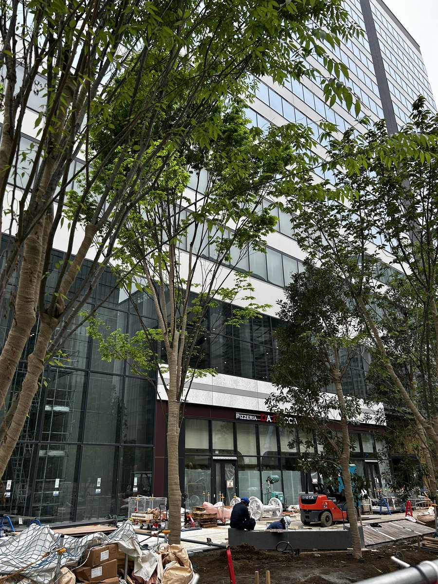 burger129's tweet photo. 豊洲セイルパークにピザ屋さん入るのか！
楽しみだなー https://t.co/JmaITGcgK0