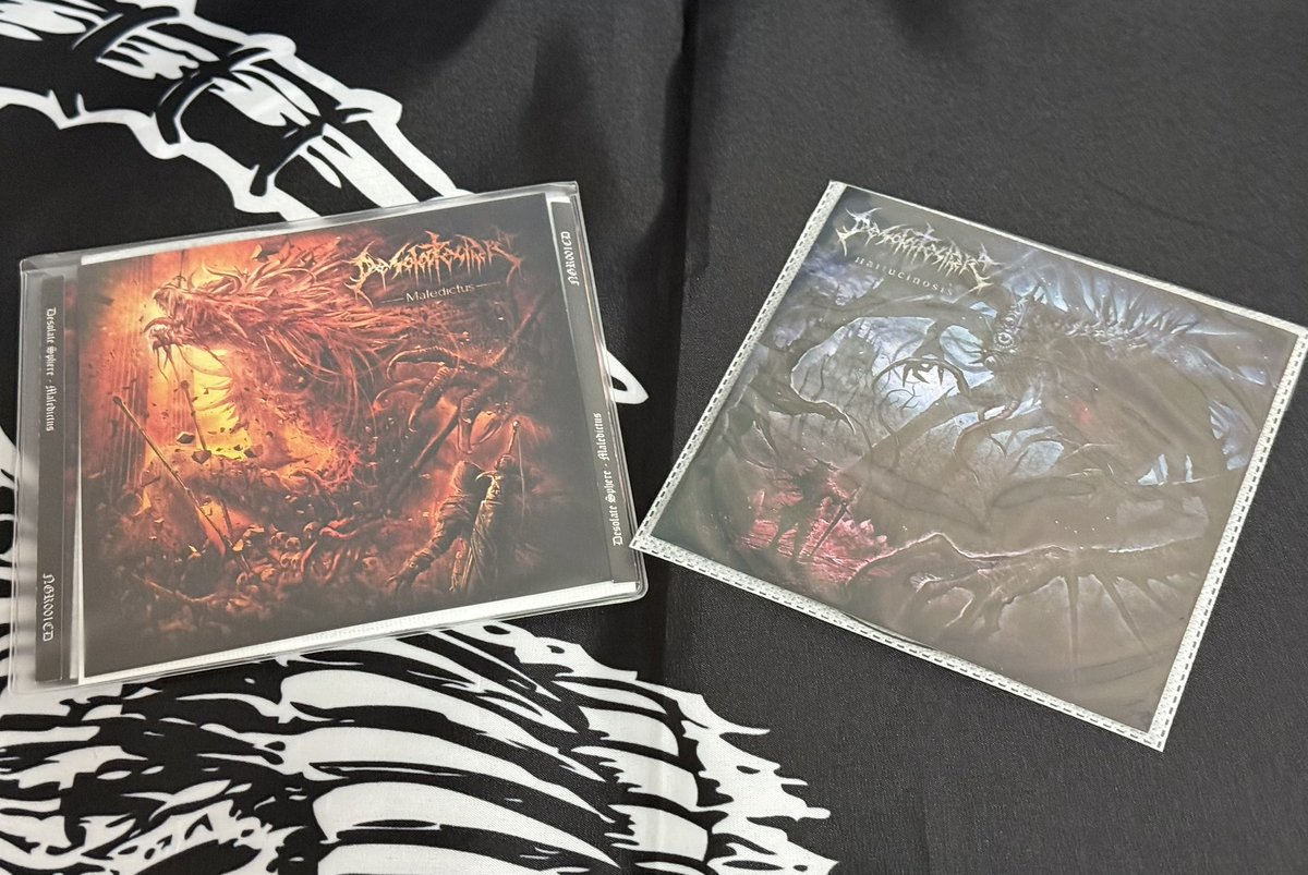 shishineko44225's tweet image. #Nowplaying
#DesolateSphere