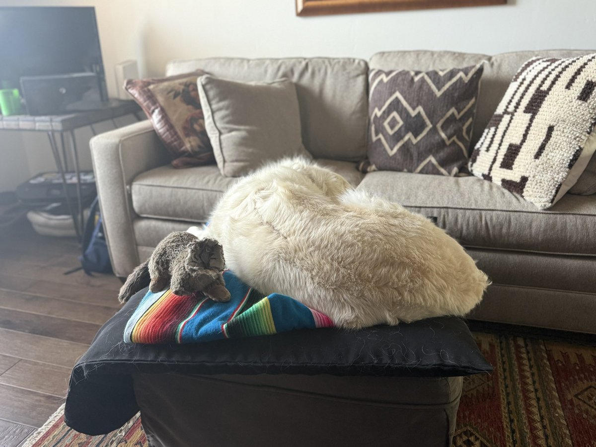 fietstwiets's tweet image. 