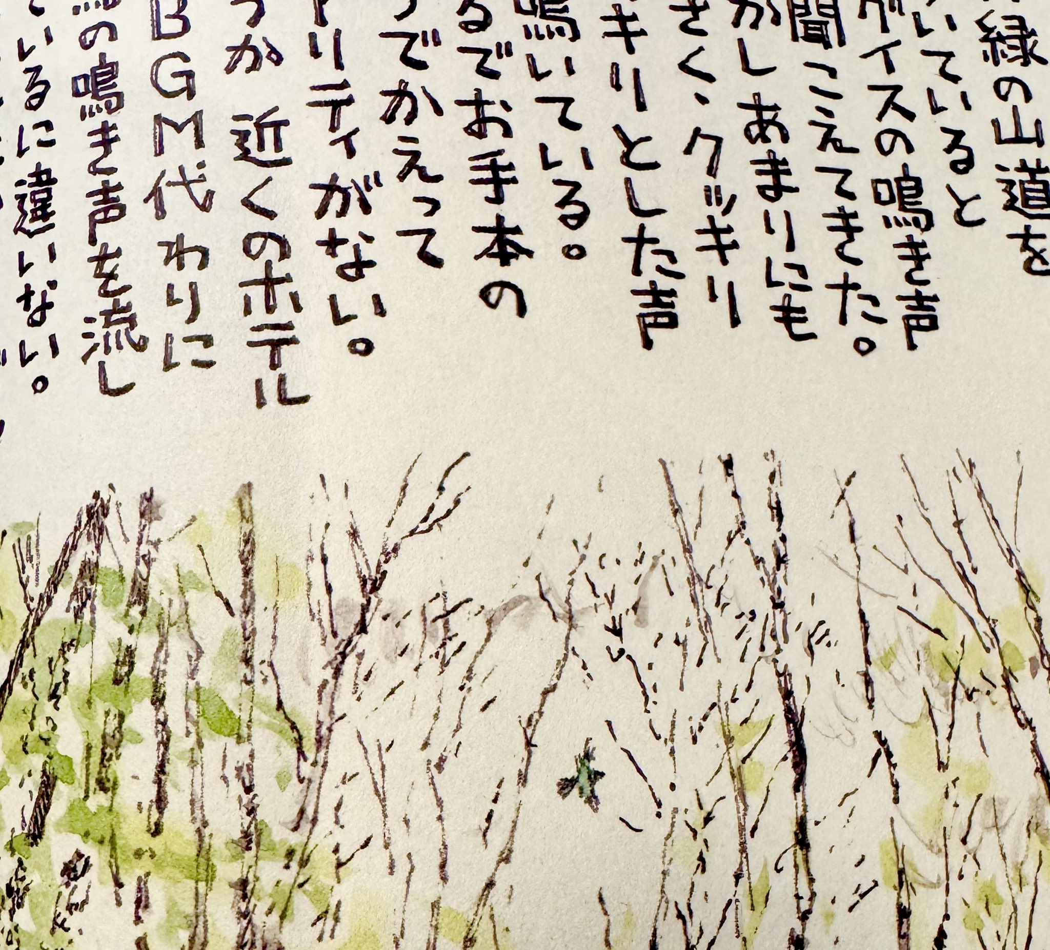 飛ぶ教室 :: 光村図書出版