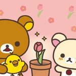 GpWWPucakAEuUpU.png?format=jpg