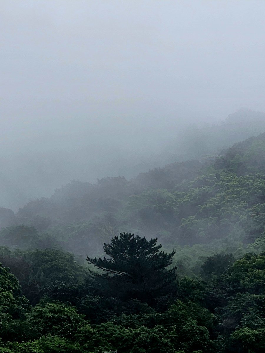 Andrew Brindle tweet media