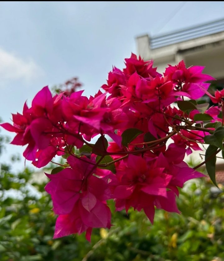 Happy friday❣️

Don't decrease the goal, increase the efffort.