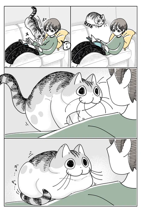 座り心地審査
https://t.co/UiFUJMWSdy 