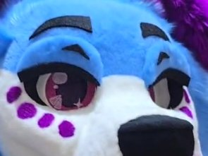 whos this boy?? 🐕‍🦺