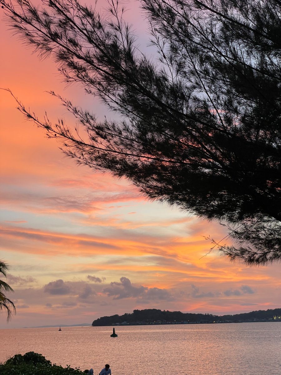 draftme_____'s tweet image. dengan judul mencari sunset dan mengobrol. 
lanjut ke ganet, mengobrol lagi 🤍✨