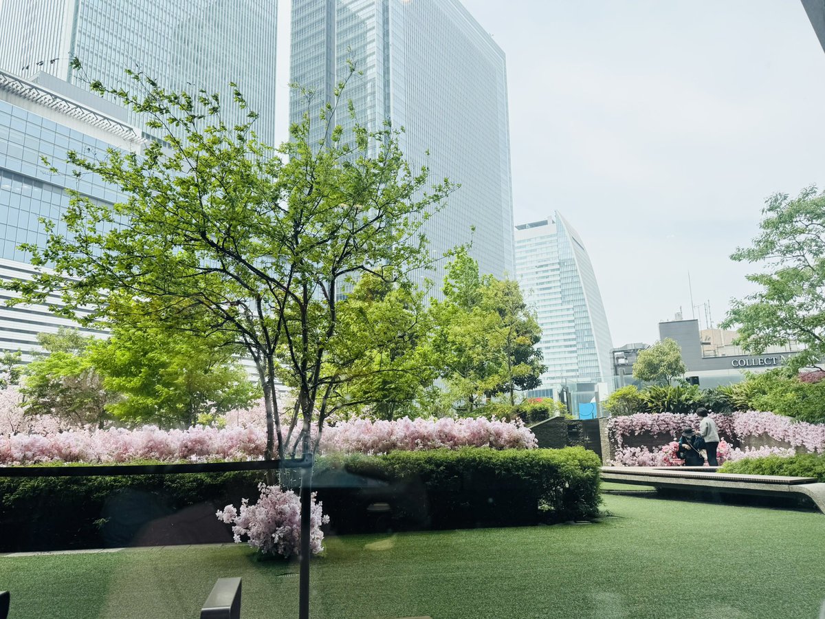 sho_funa's tweet image. はぁ～、ようやく朝からの仕事が終わったのでランチへ。
スカイガーデンはまだ桜が満開😆

 #大名古屋ビルヂング
 #TULLY'S