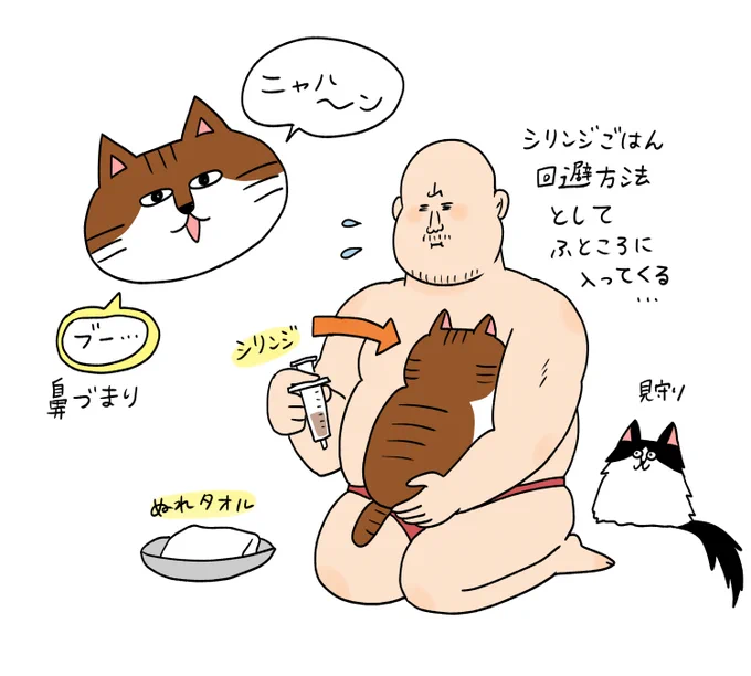 ゴメス、鼻腔内リンパ腫で
現在闘病中です。
希望をもってやっていく…! 