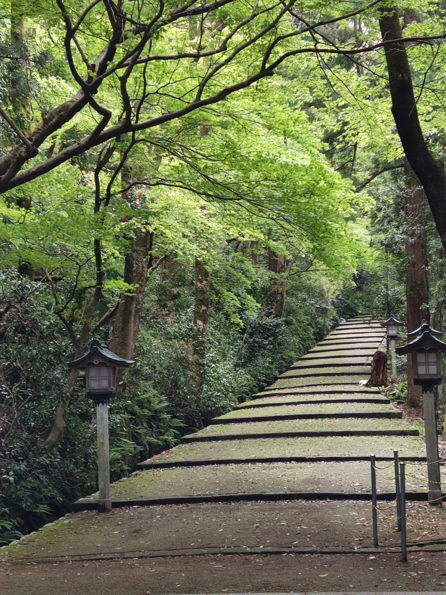 Mineo Yamagishi on X: Mineo Yamagishi on X: