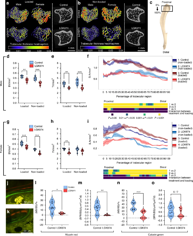 Bone Research_Editorial Office tweet media