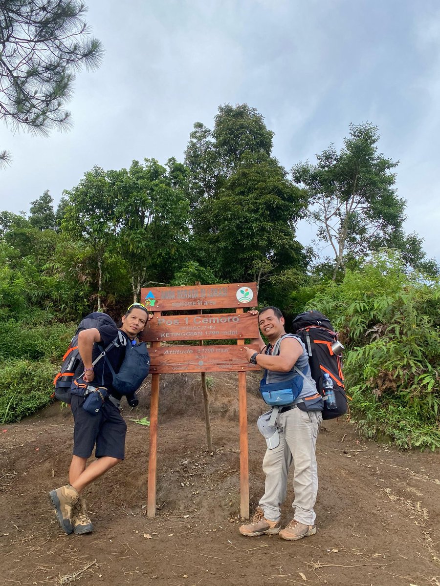 HENZ2001 tweet media