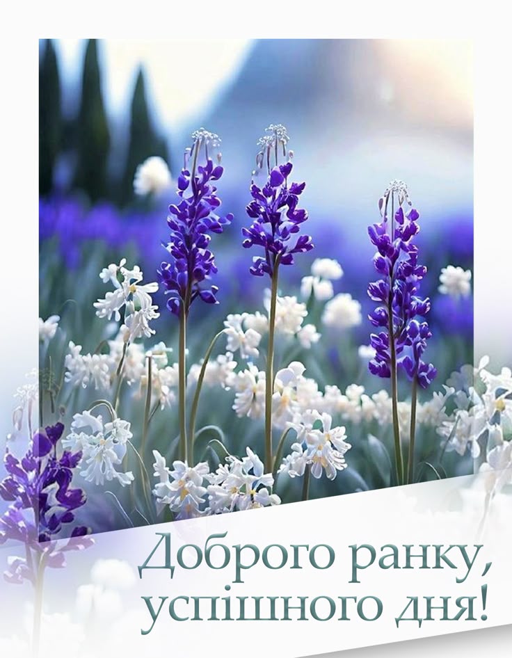 Днепр злой🇺🇦❤ (@maks1346109) on Twitter photo 