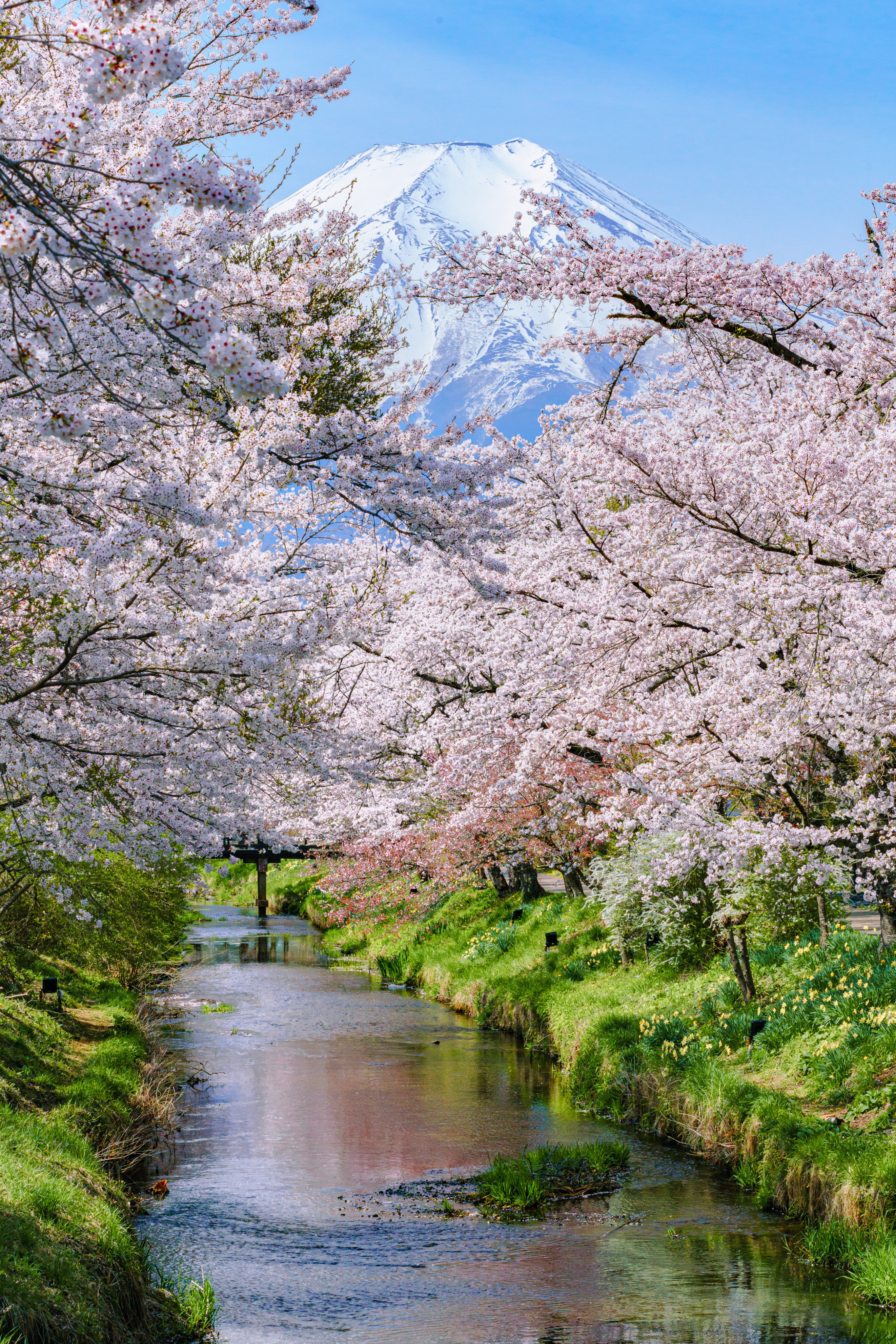 カナダ」のアイデア 8 件 | 絶景, 美しい風景, 風景