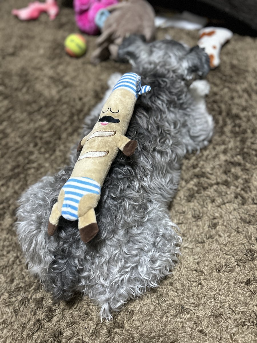 ラフ＆ロード直営店 on X