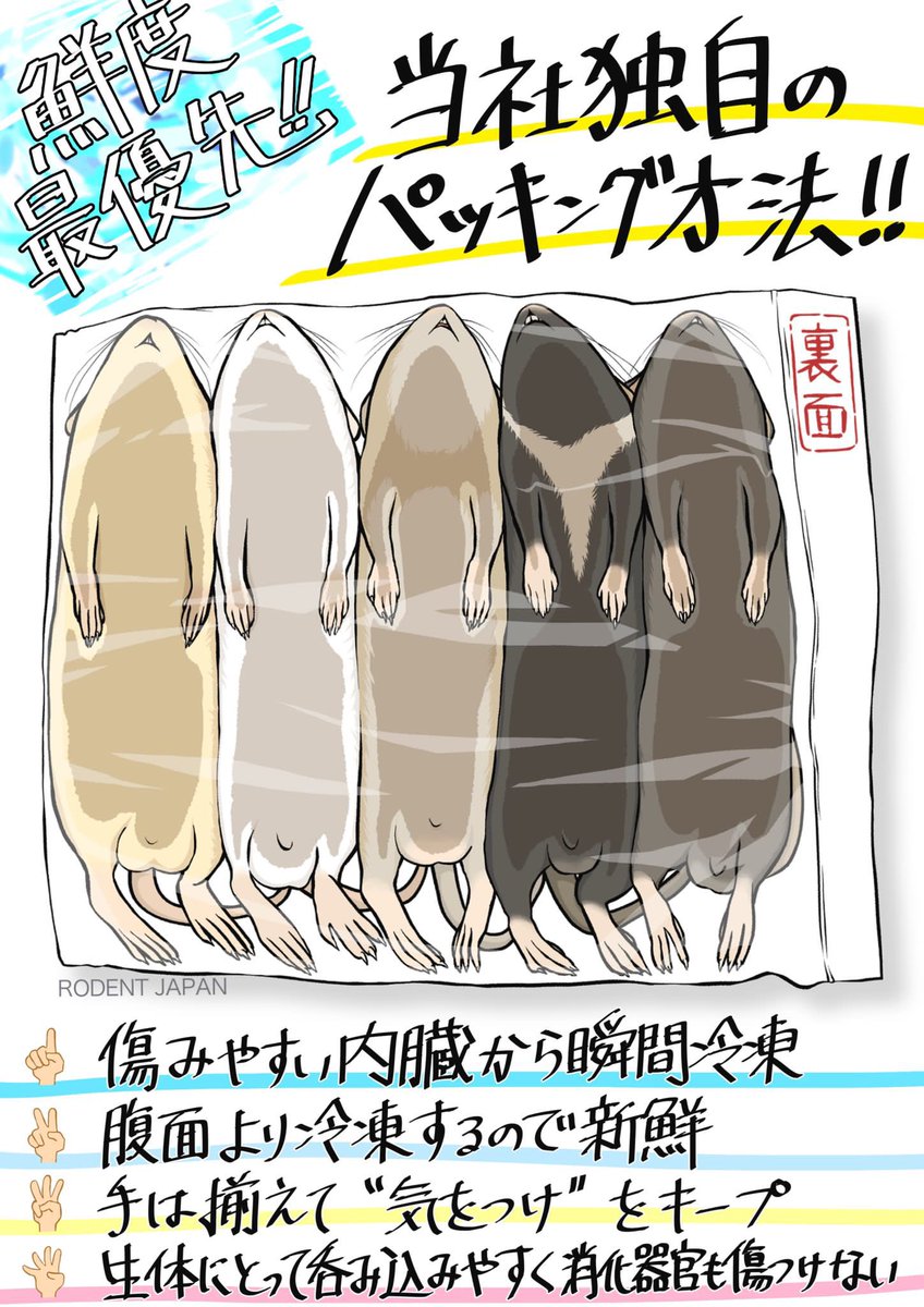 GTReptile's tweet image. 〜冷凍餌部門RODENTJAPANから重要なお知らせ〜
この度RODENTJAPANは2025年4月29日9時より価格を改定させて頂く運びとなりました。
昨今の物価上昇により生産に関わる経費の全てが上昇しており当社もここ数年で2回の値上げをさせて頂きました。…