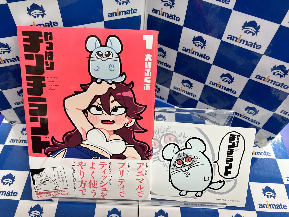 着用数回、美品！チンチラケープ♡︎ やっぱりチンチランド