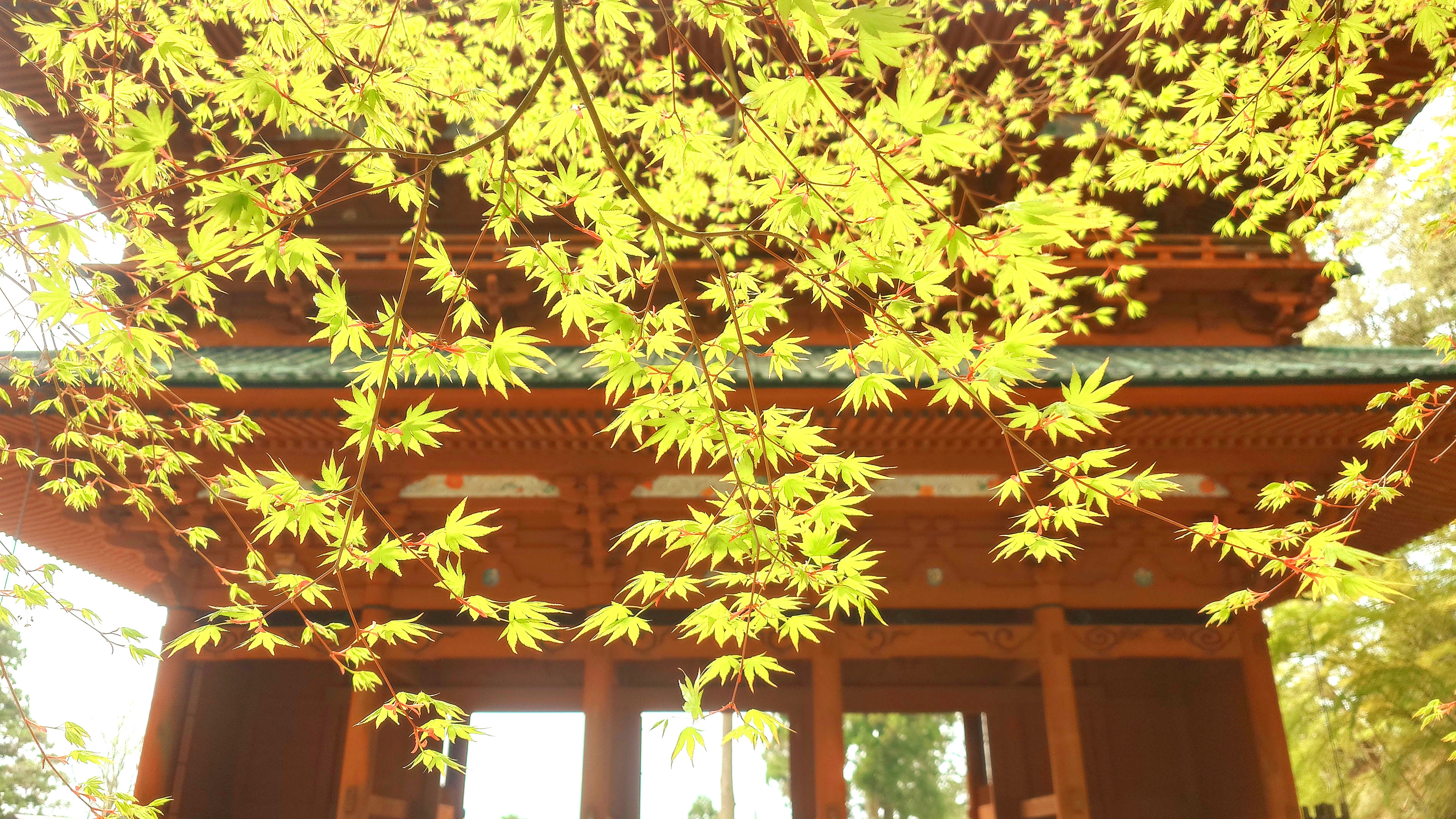 高野山大師堂【公式】 (@koyasandaisido) / X