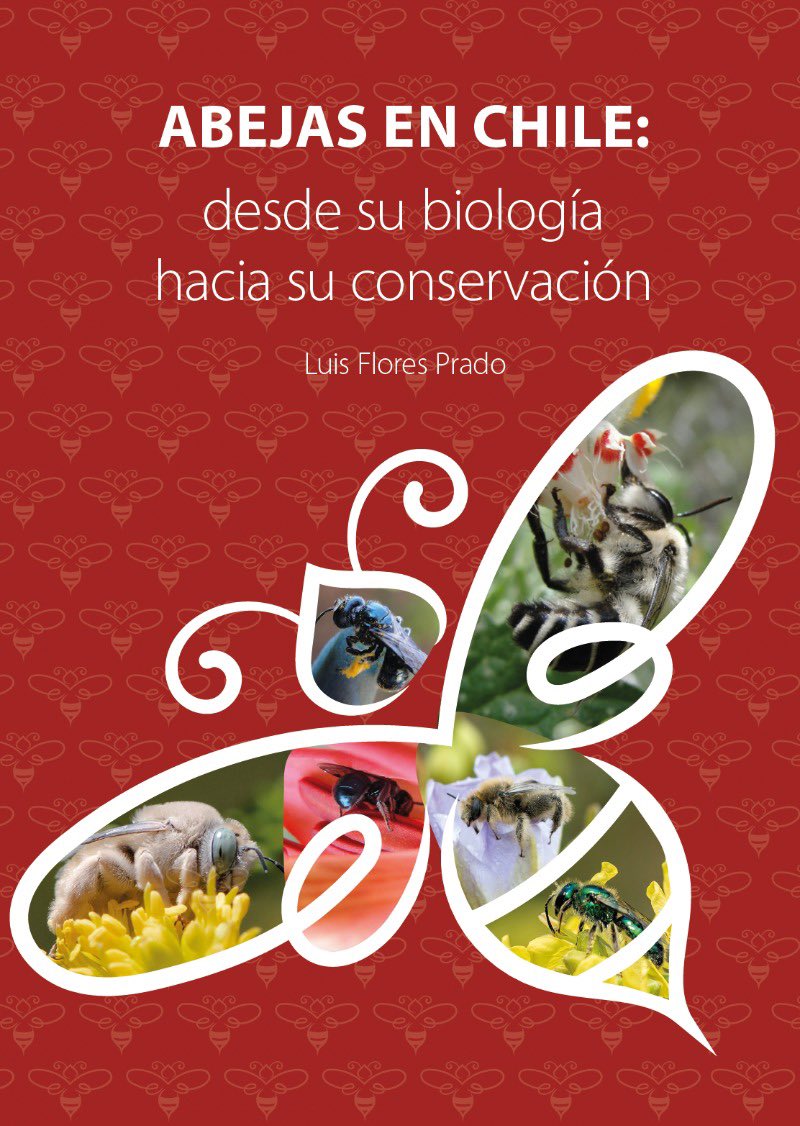 El colega Luis Flores, profesor de la UMCE, comparte su buenísimo libro sobre Abejas en Chile. Solo hay que llenar un breve formulario para tener algunas estadísticas anónimas antes de descargarlo gratis.
form.jotform.com/250162984671058
