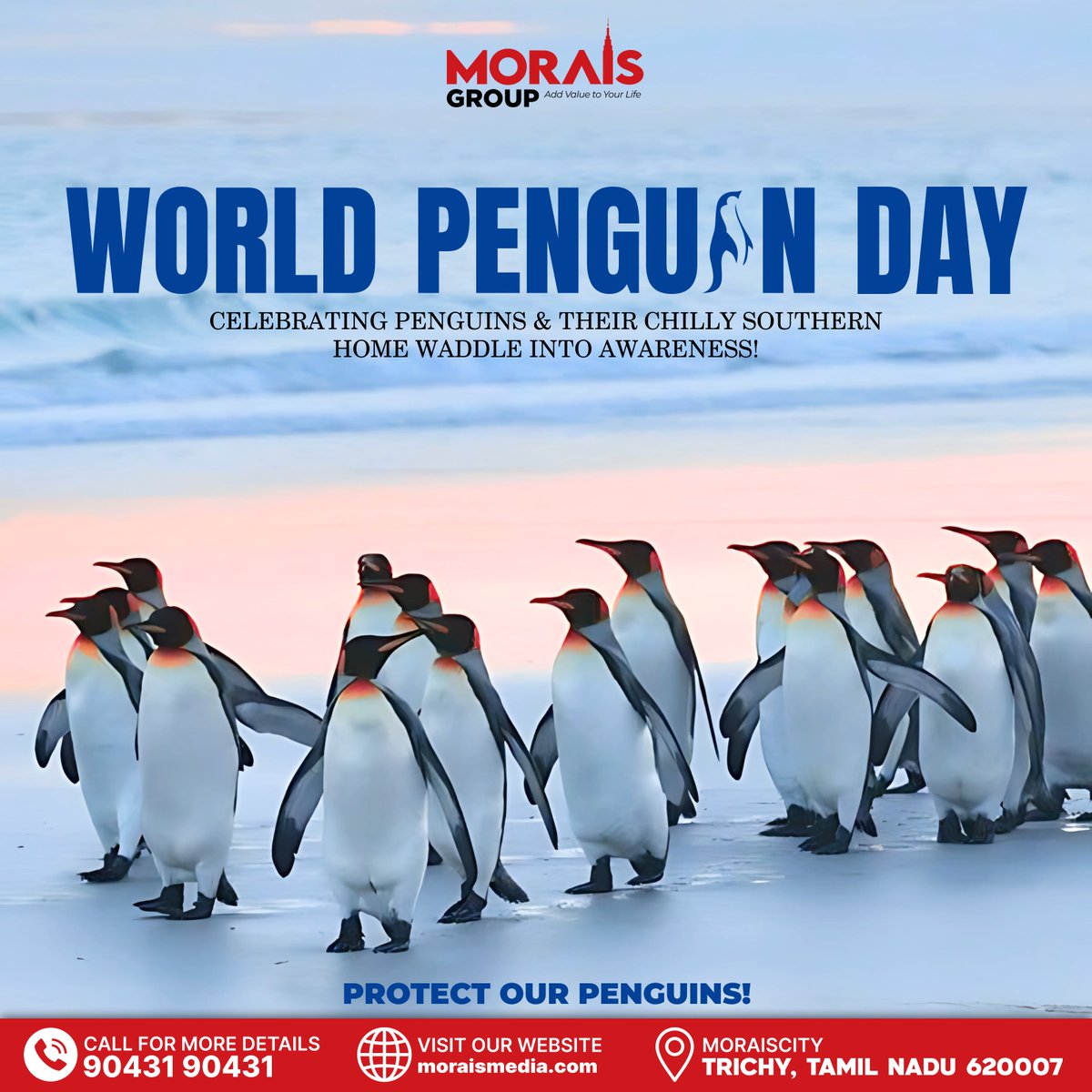 morais_media's tweet photo. 🎉🐧 Celebrating Penguins &amp; Their Chilly Southern Home! ❄️🌎
From icy waters to snowy shores, penguins thrive in the wild beauty of the Southern Hemisphere. 🌊🏔️
Let’s protect their habitat and ensure a future where they waddle on! 💙🐾

#WorldPenguinDay #SaveThePenguins https://t.co/u4v8nv7TX1