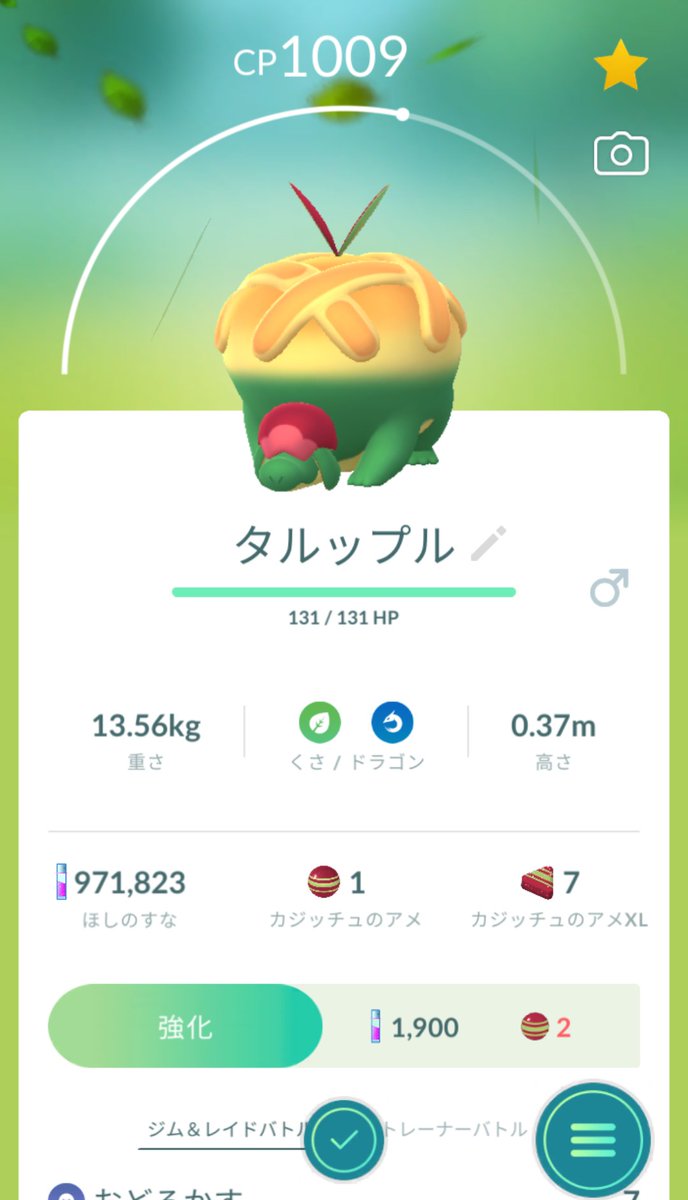 yurugutan_fan's tweet photo. とりあえずカジッチュ、アップリューとタルップルできた!🍎🍏 #PokemonGO #applin #flapple #Appletun https://t.co/gsgqGCbTKF