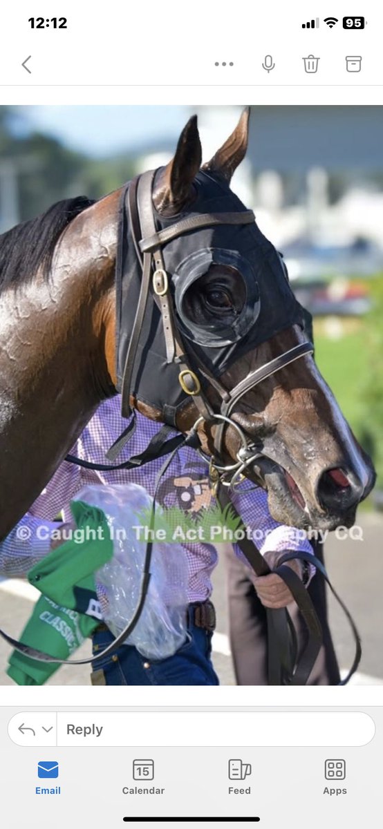 Richard McIntosh tweet media