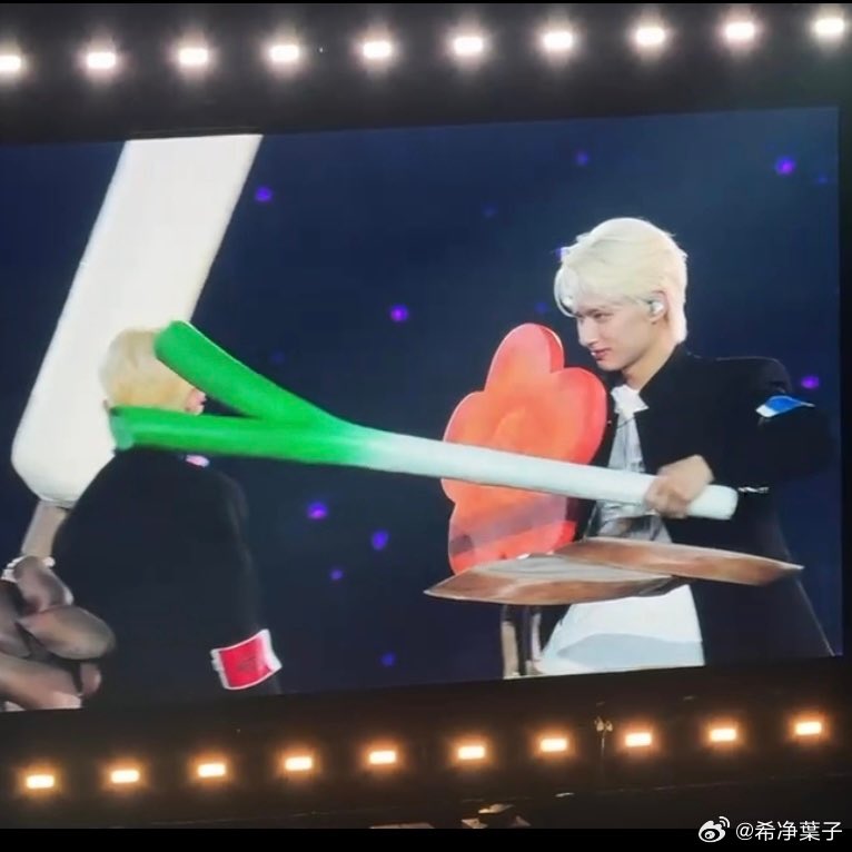 moontomeetyou's tweet photo. this silly cat kkk https://t.co/nxcA7HlzQf