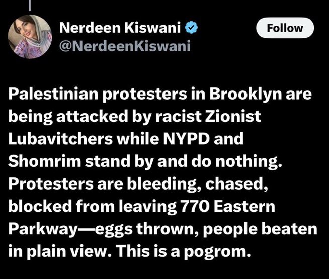 Next time, maybe don’t surround a synagogue with terrorist flags and assault worshippers.

Americans won’t be intimidated by your violent Islamist thuggery.