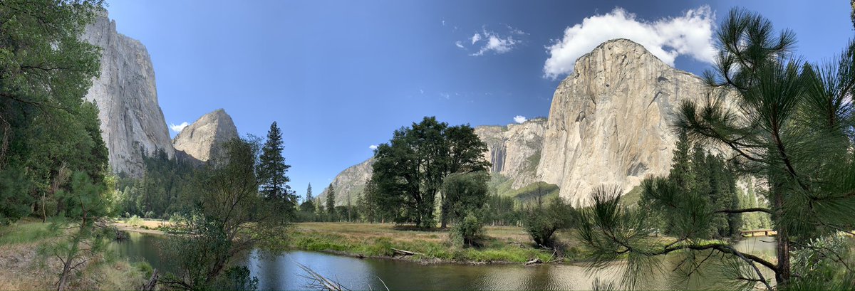 Cindy Wang tweet media