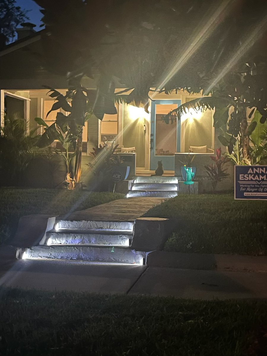 a friend snapped this pic and i’m about to lose my shit because look at the community cat looking for me while i was out with friends 🥺