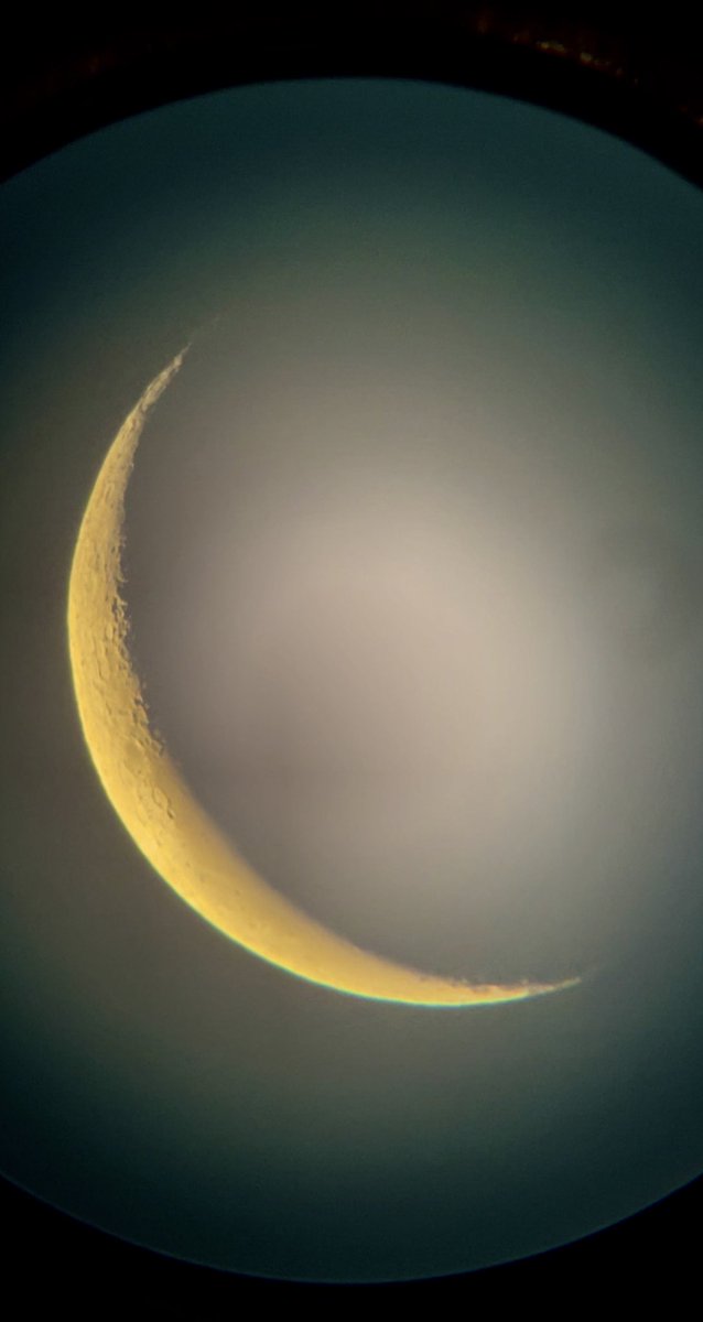 MOON LOVER tweet media