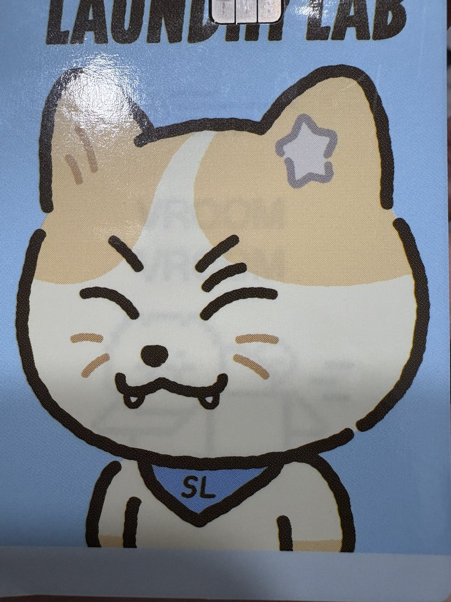 btobsilver's tweet photo. 지금 카드 스티커 6개째 (햇냥이만 3개째임)
바꾸는중…😡

내 카드는 버티지 못하고 스티커를 뱉어내는중

왜죠….?😭😭

현재는 랑꼬미인뎅 웃는거 너무 현식이 같구
귀여워서 카드 볼 때마다 웃음이☺️ https://t.co/uwgaQtLFmN