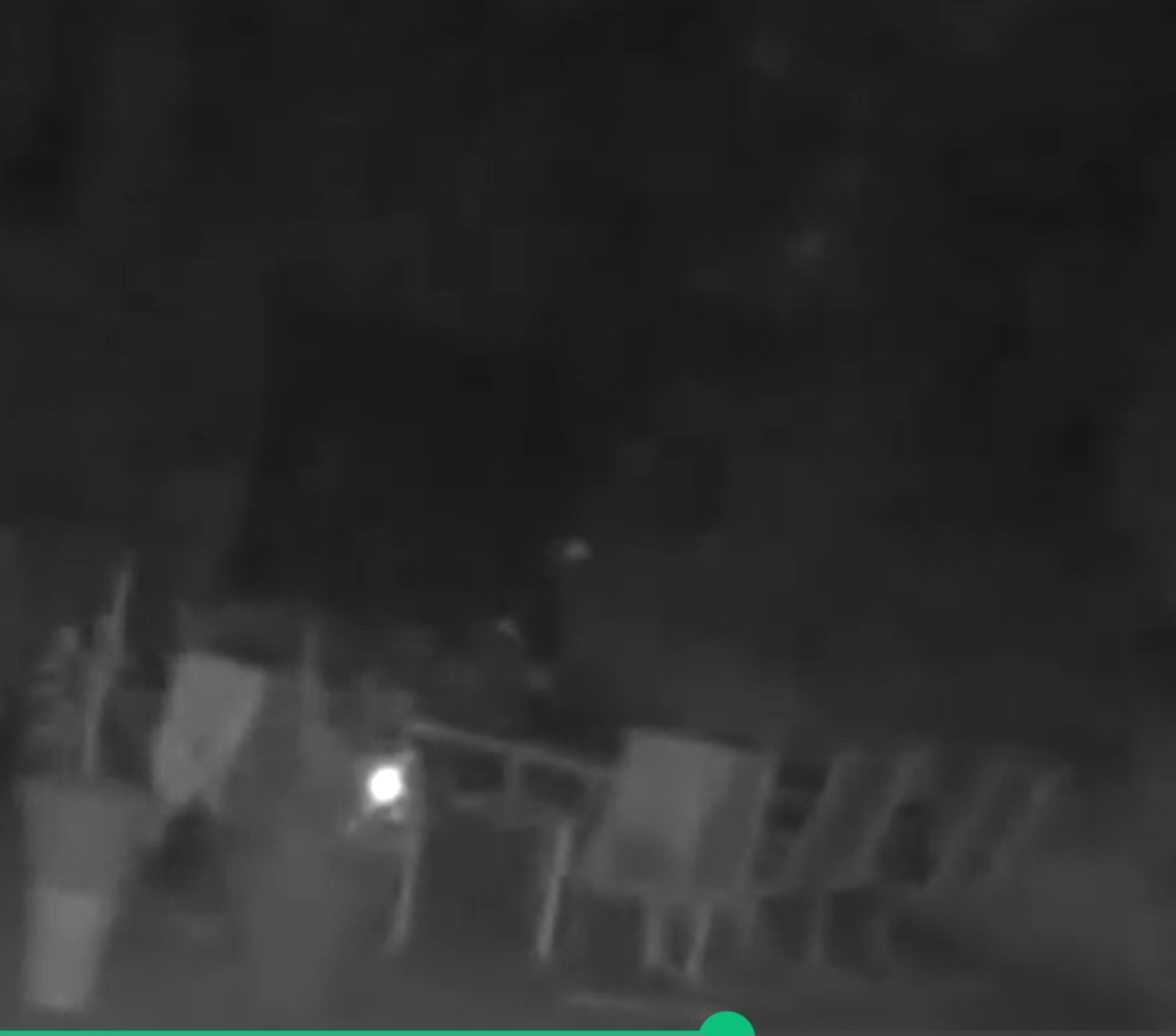 Jeff_T's tweet image. Need help from the skeptical crowd.
I caught this on my Blink camera at 11:24 PM. It looks like a glowing orb or sweeping light beam originating from inside my yard and illuminating the trees.
I’ve ruled out everything:
No lasers (too diffuse, no visible impact point).
No…
