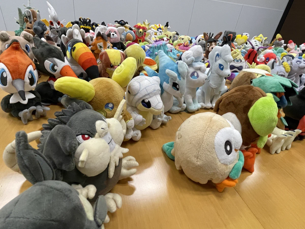 ポケモンだいすきクラブ編集部【公式】 on X: 