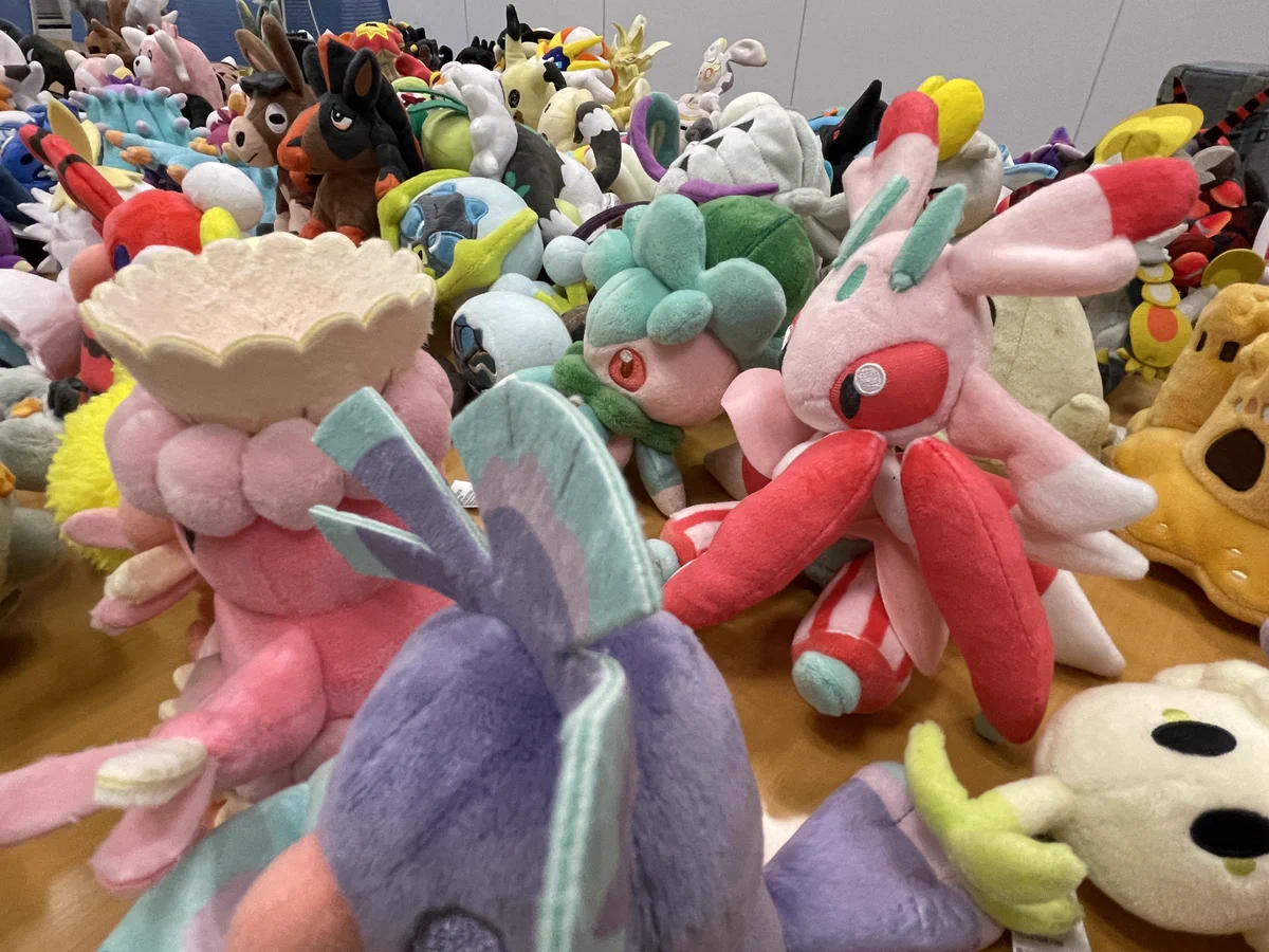 ポケモンだいすきクラブ編集部【公式】 on X: 
