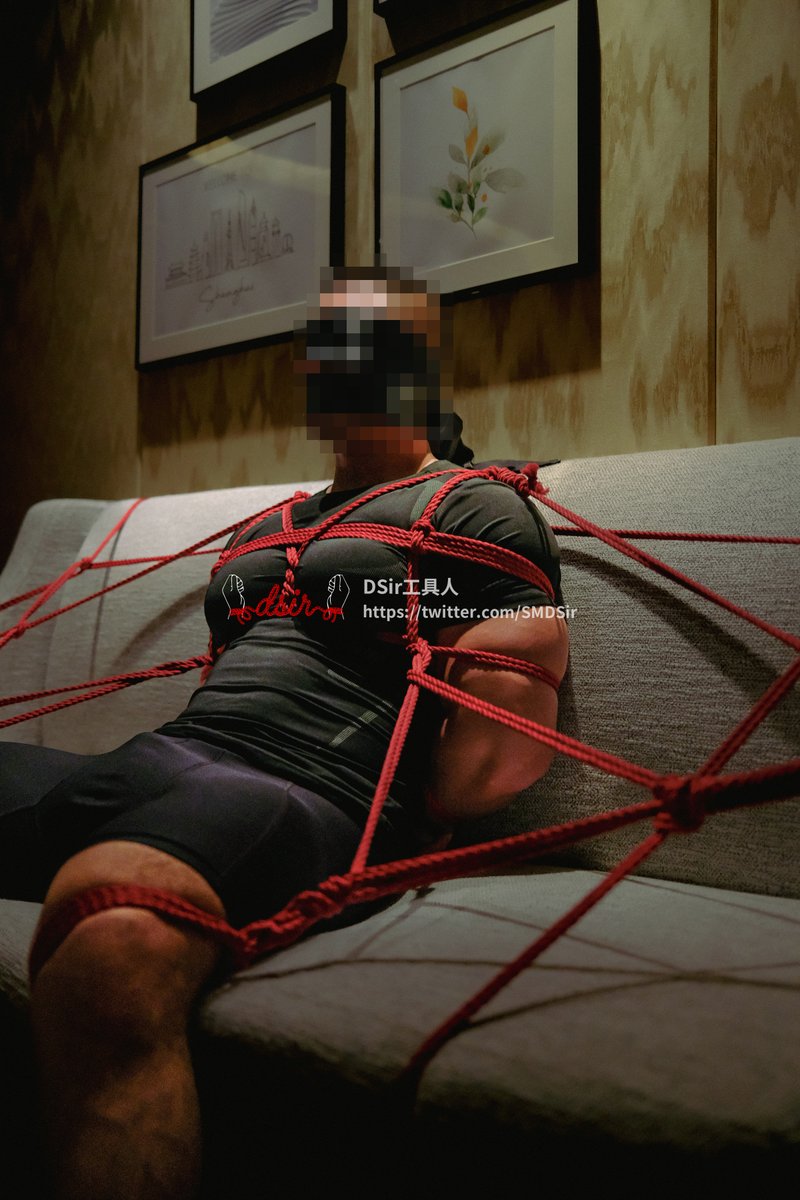 DSir工具人 tweet media