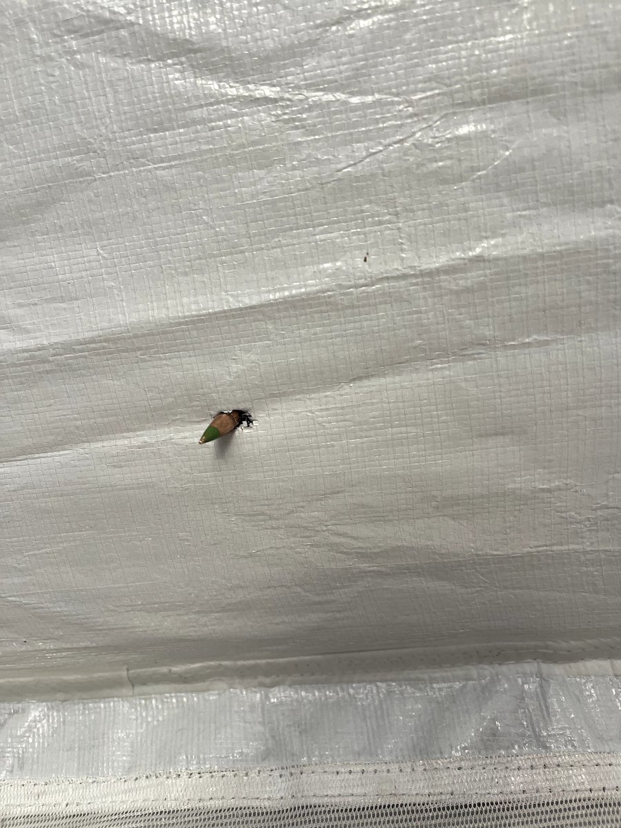 w_ael1so's tweet photo. I won't tell you that I'm still alive today. My mother was literally close to death! Because of gunfire in the middle of the war. She was sitting in the tent when a bullet pierced her, and I didn't realize what happened until I saw the bullet, ‼️😭💔
https://t.co/mDwzBbkFq6 https://t.co/0FxwSL4bF0