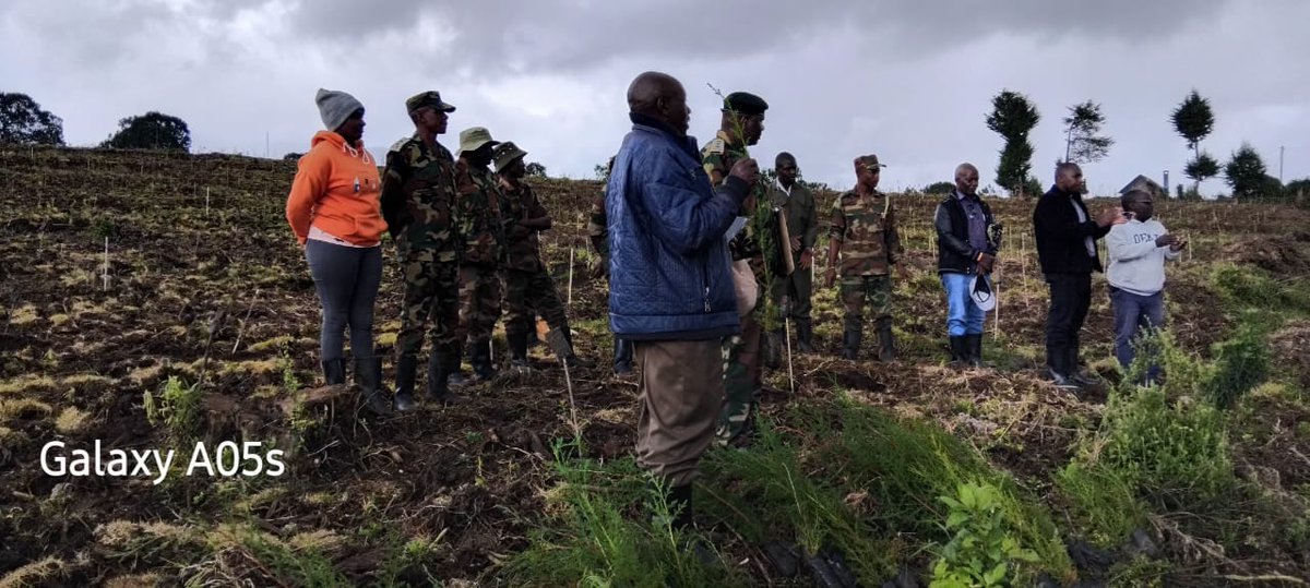 Forestry__Kenya's tweet photo. Tree growing efforts in 𝐍𝐲𝐚𝐧𝐝𝐚𝐫𝐮𝐚 County saw over 𝟐𝟑,𝟎𝟎𝟎 𝐬𝐞𝐞𝐝𝐥𝐢𝐧𝐠𝐬 🌱planted across South Kinangop, Mirangine &amp; Gathanji. 

Led by @KeForestService, CFA &amp; community members, the initiative targeted both forest restoration &amp; woodlot establishment.
#15BnTrees https://t.co/IkaM7ZXeJV
