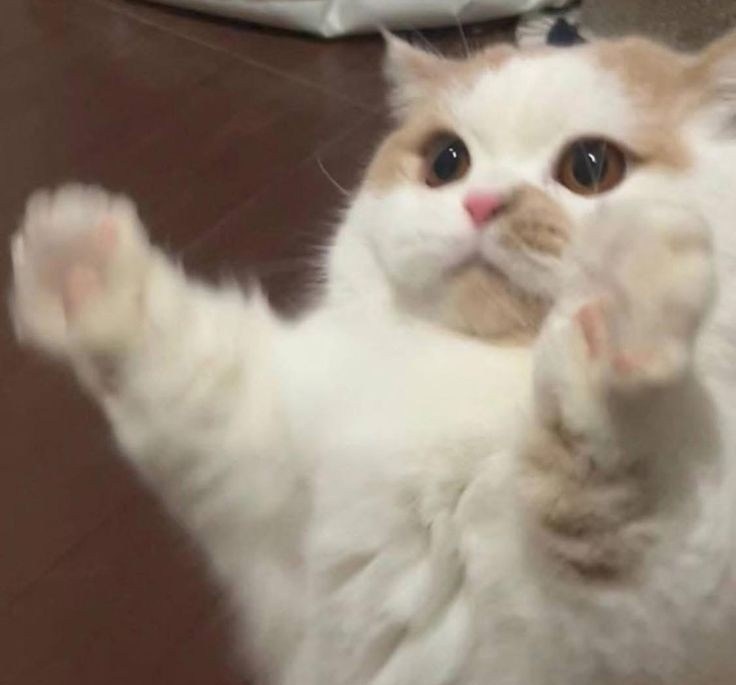 PINDAHAN, CEK PINNED ;) tweet media